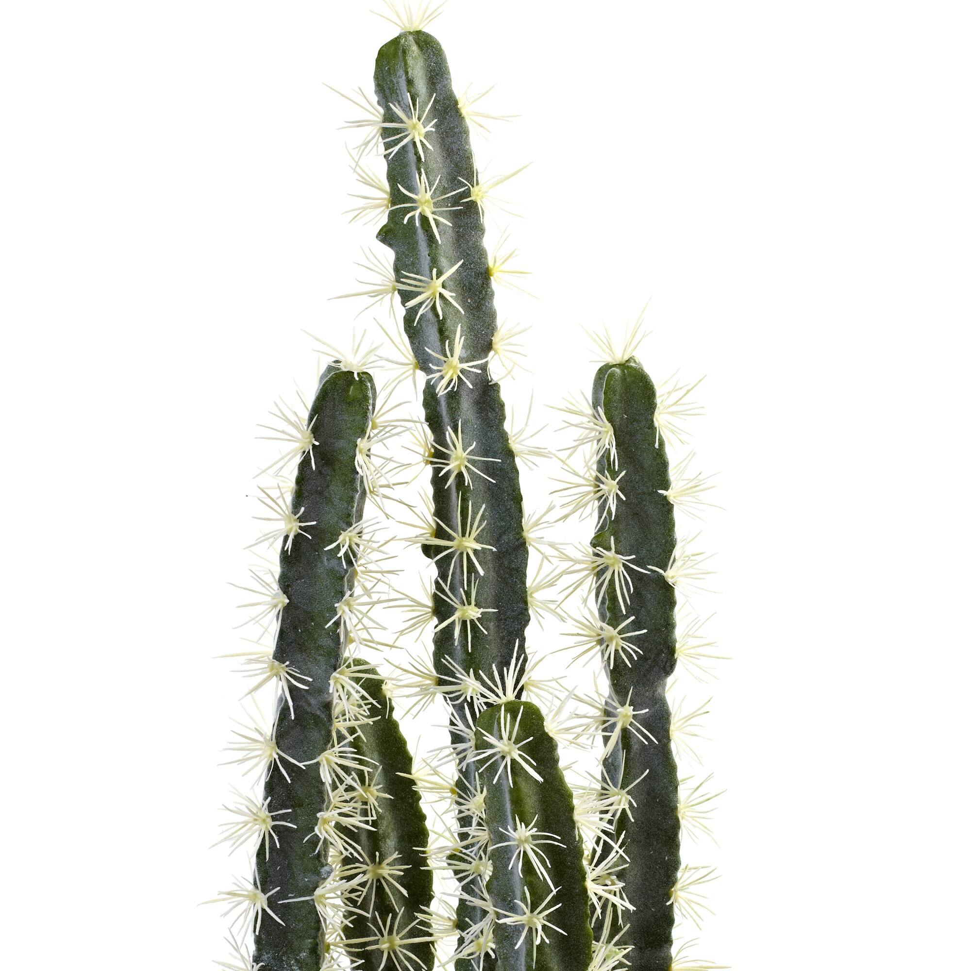 2ft. Cactus Garden In Cement Planter
